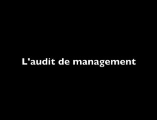 Propublic : l'audit management