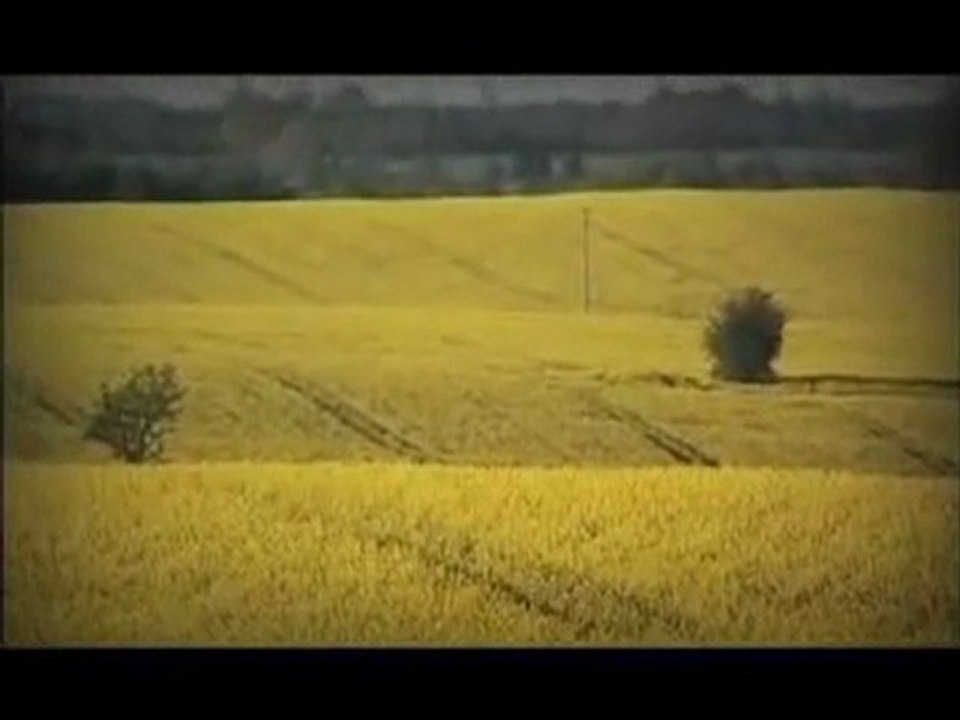 GMO - nasiona kłamstwa