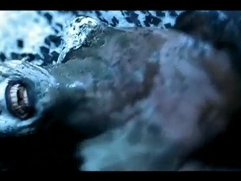 Marilyn Manson - The Nobodies