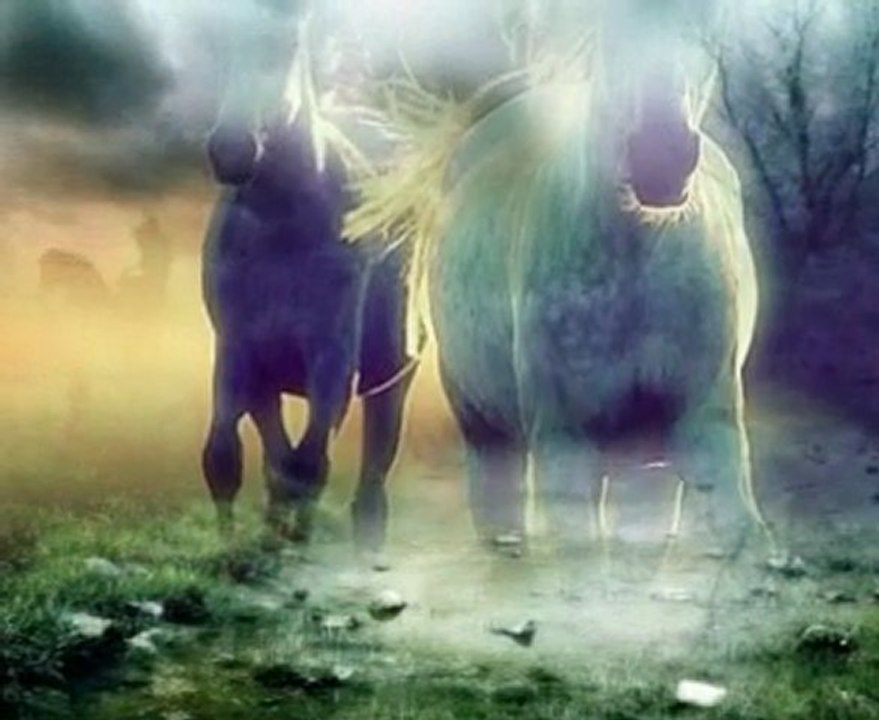 Aytekin Ataş - VAR GİT ÖLÜM