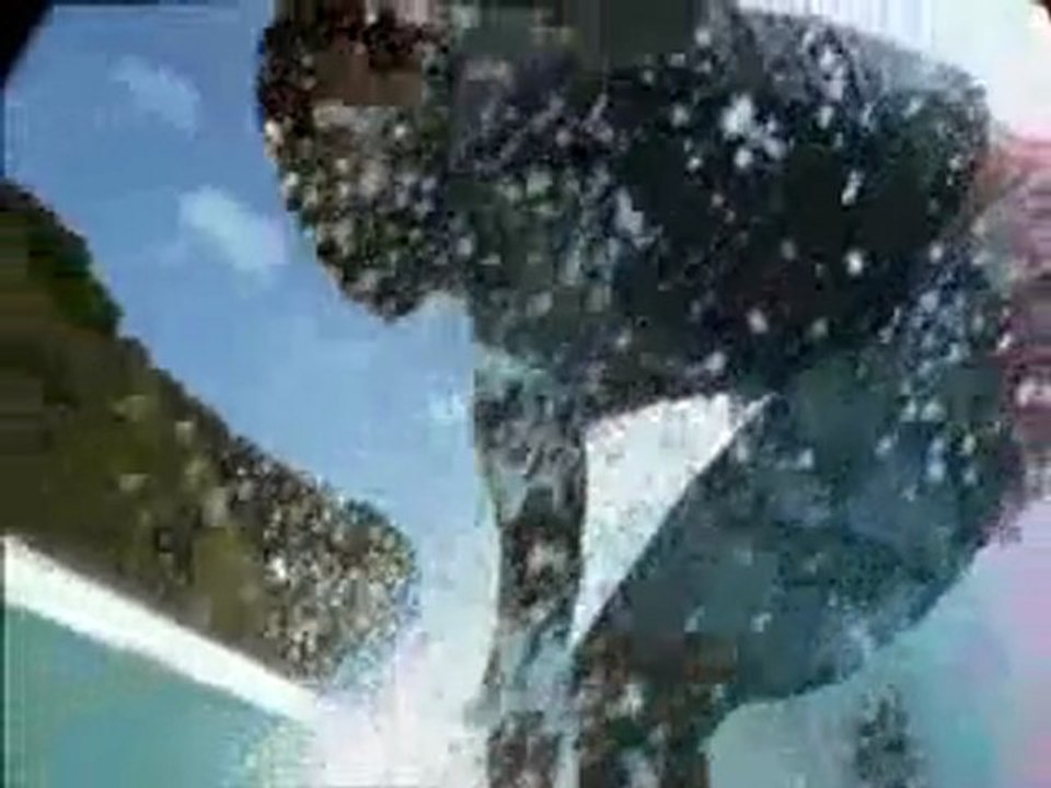 Surf Brazil