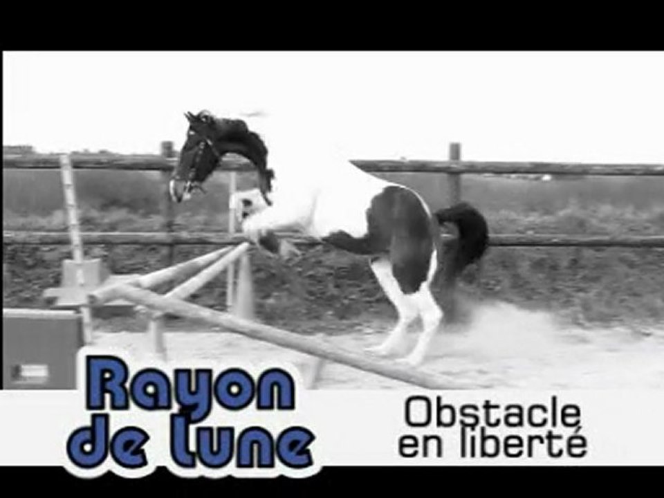 Obstacle en liberté pour Rayon de Lune