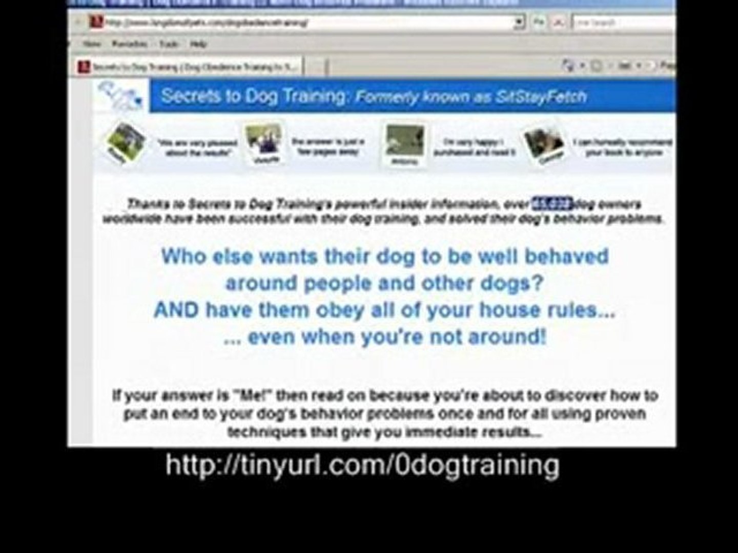 ⁣dog aggression training - dog obedience