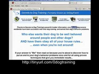 dog aggression training - dog obedience