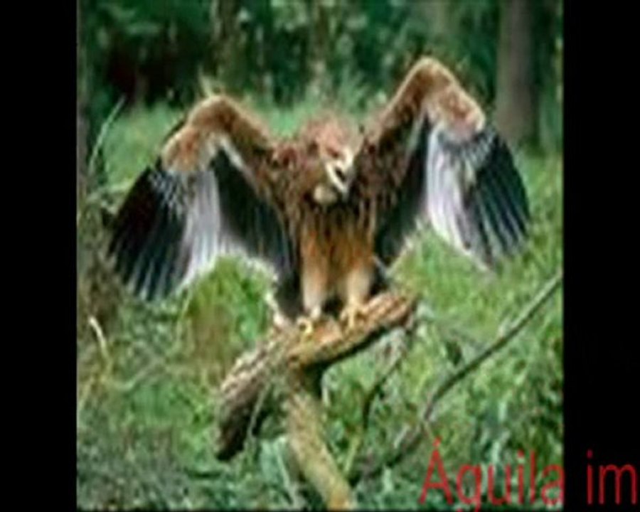 Parque Natural de la Sierra de Hornachuelos