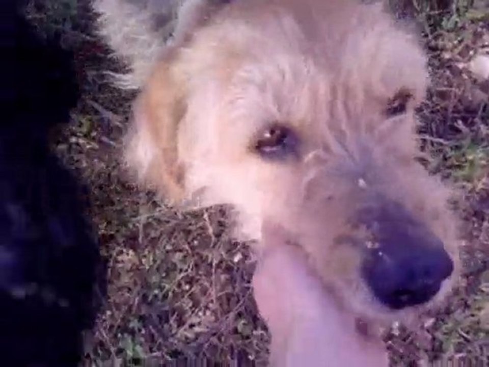 Aldo et un copain