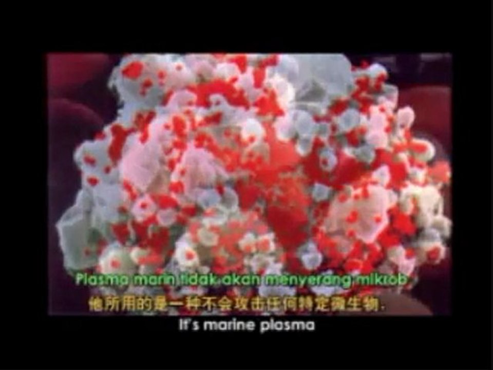 Rene Quinton y el plasma marino