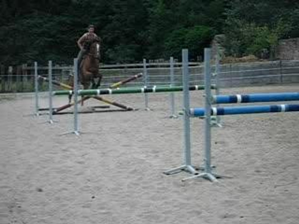 Saut d'obstacle chevaux 02