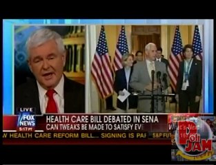 Newt: Dems Plan 'Racist' & 'Obstructionist' Smear Campaign
