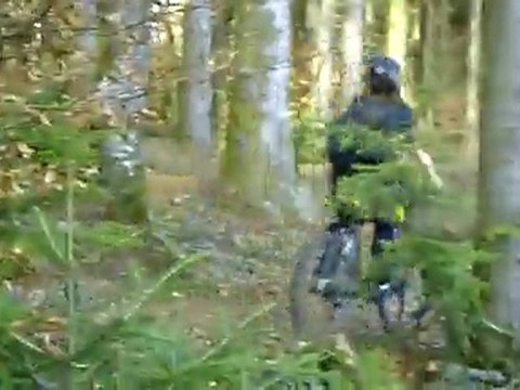 les aléas de la vie