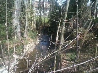 "C'est ça que j'aime , la nature tout simplement..."