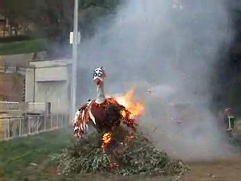 CARNAVAL DE SALERNES 2010 SALERNES provence alpes côte d’azur