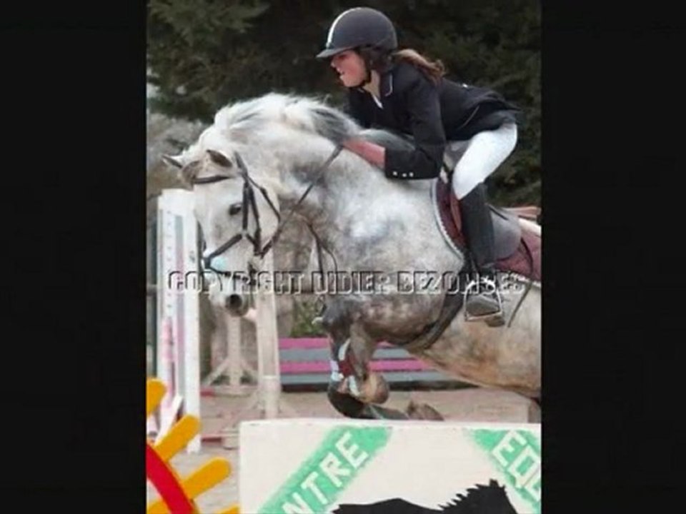 Mon poney