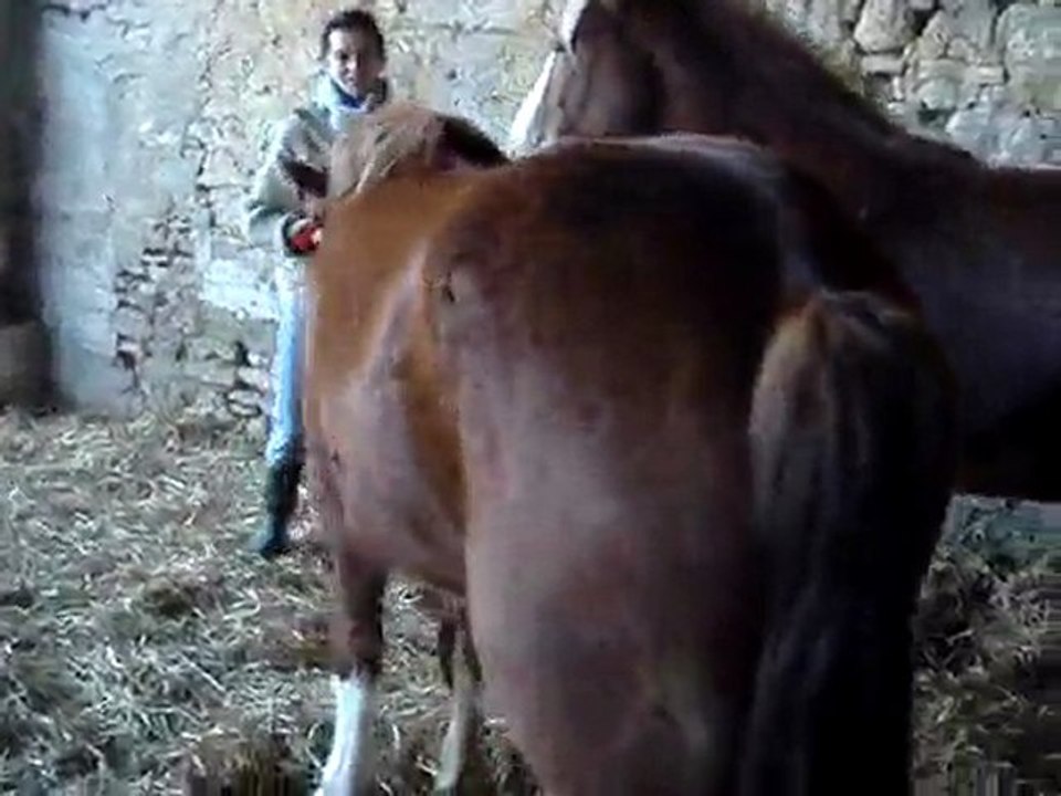 MOV01728