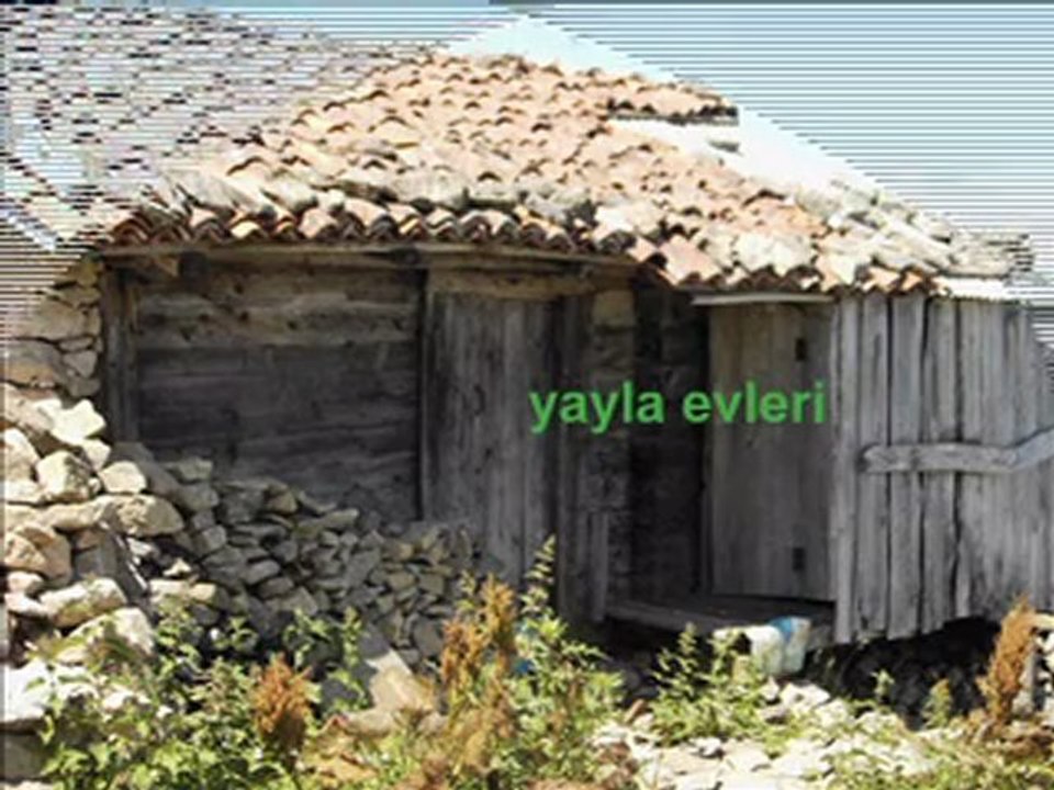 Kurtdagi Yaylasi Yayla Evleri