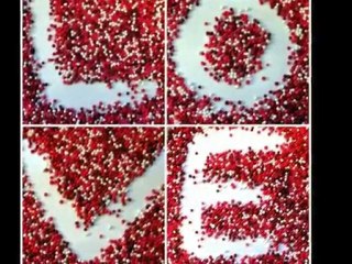 Understanding Feelings 😊