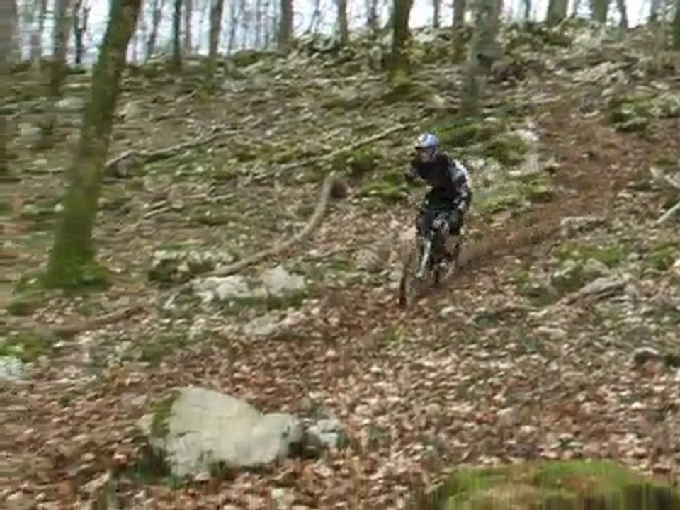 La DH 2