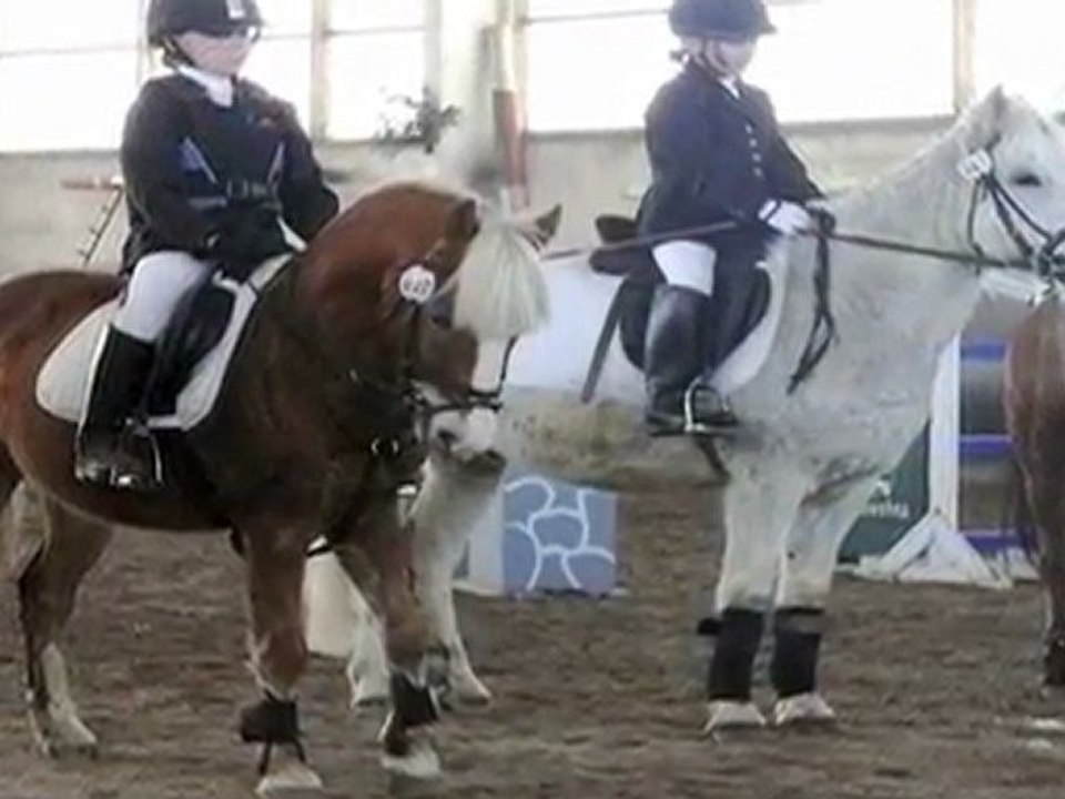 Luckowehna Dressur & Springturnier