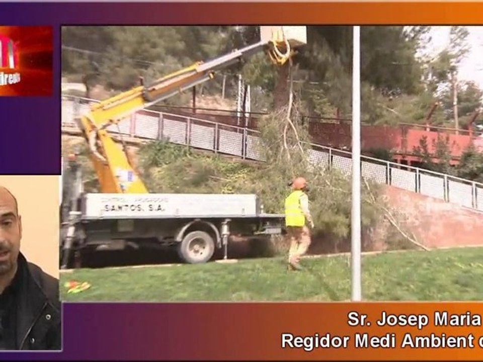240310 Situació boscos a  Sant ANdreu de la Barca