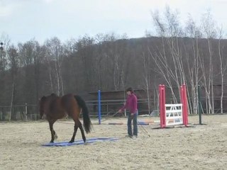 envoi bidet pas trot