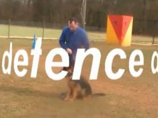 entrainement ring  rogeville