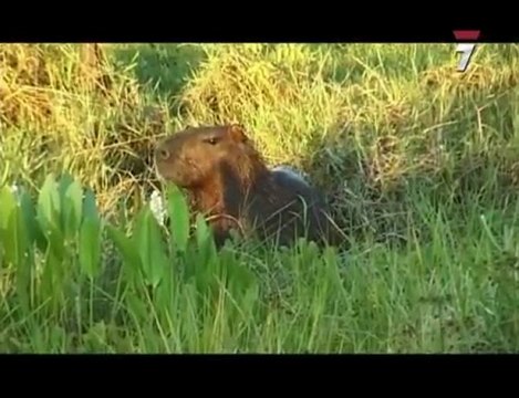 El mundo a pedales · 01/03/2010