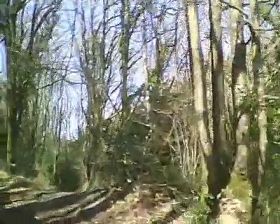 Video Circuit 12 H VTT L'HERMINE SAINT MARTINOISE