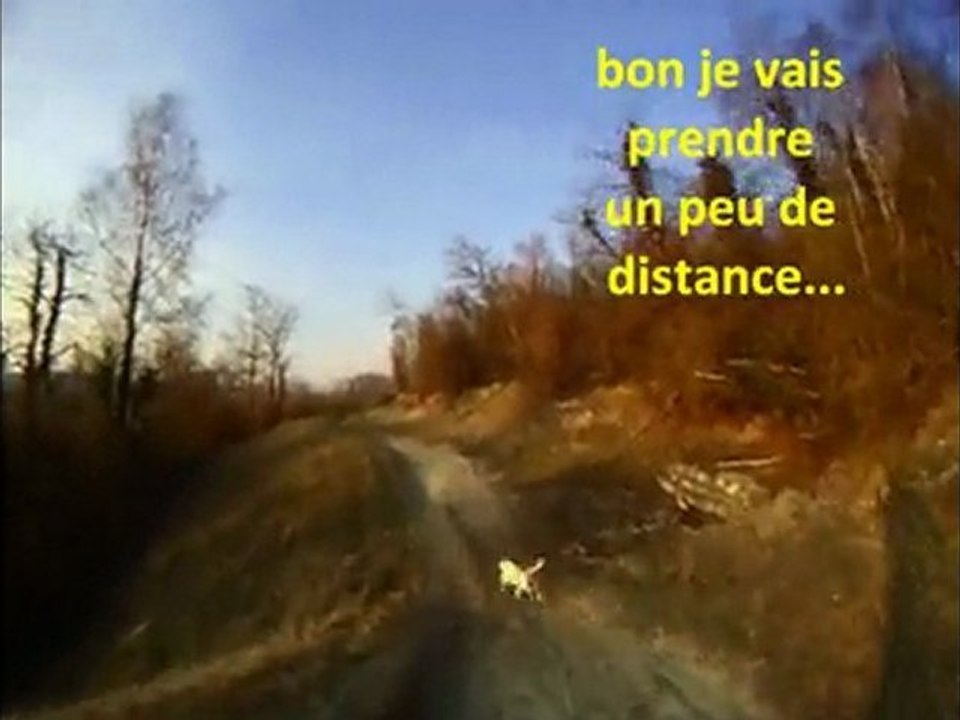 Mon filmdu 16 mars avec ma ptite chienne DUNE