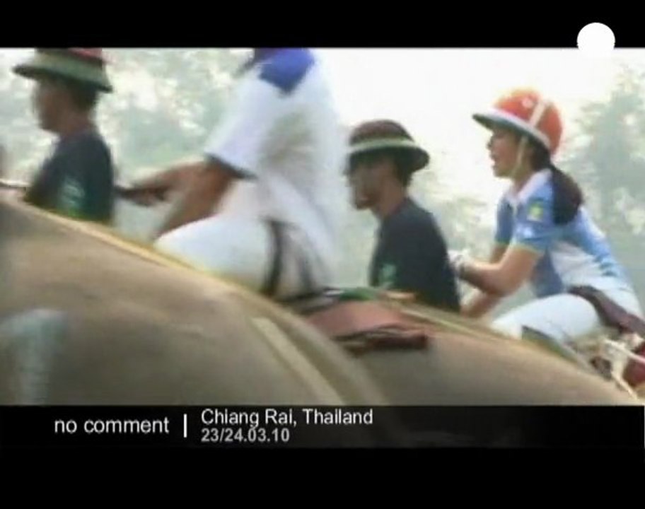 Elephant polo in Thailand