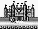 SML 3: Wario Land Walkthrough/10 Un voeu exaucé