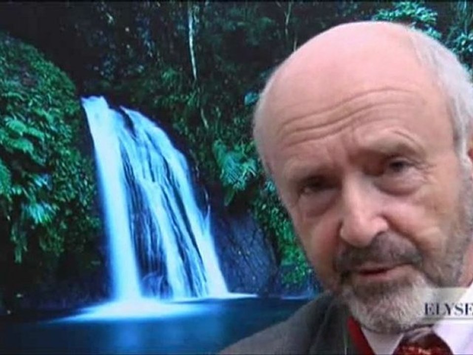 Des actions internationales de lutte contre la déforestation