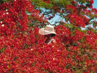 ragga mi kui la reunion lokal