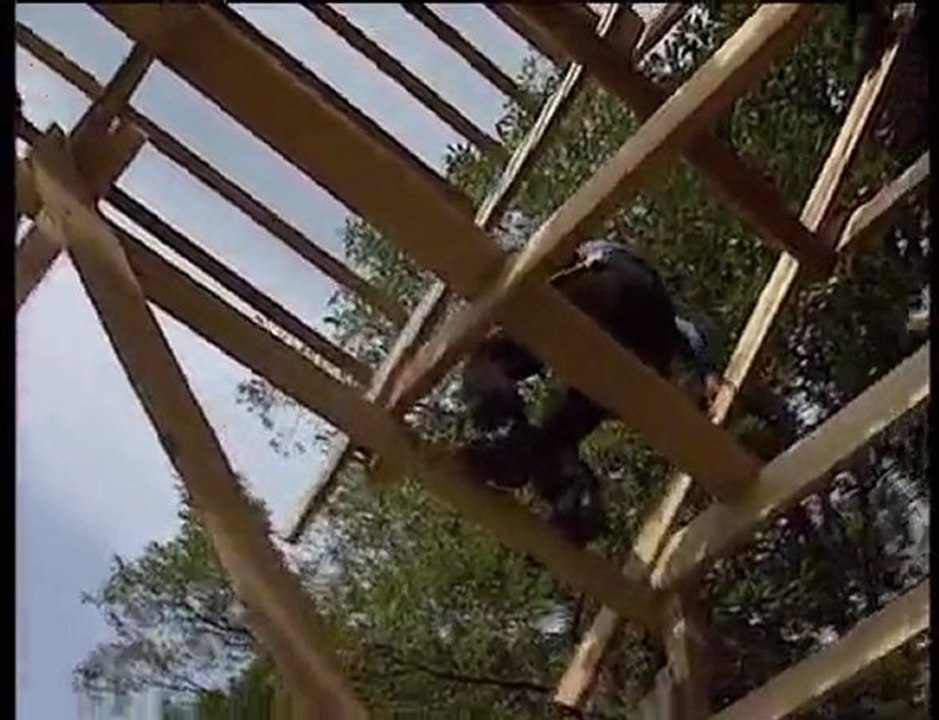 Tadashi Kawamata Transfert (extrait)