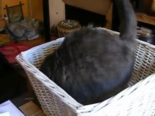 Didine II: A New Chapter in His Career