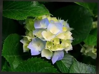 ako feat düssel sentez yarım kalan tablolar