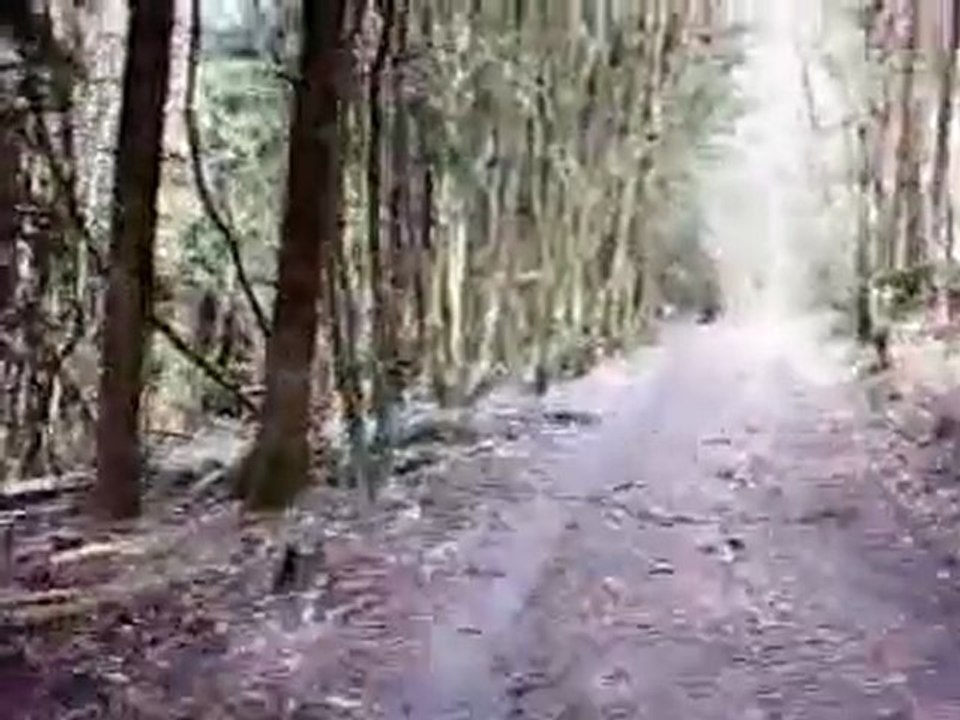 descente loup garou