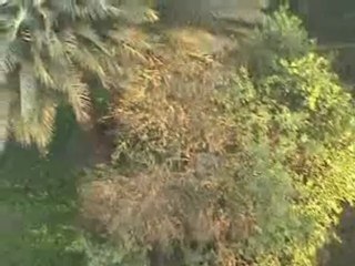 Weg-man hou kop in lugballon