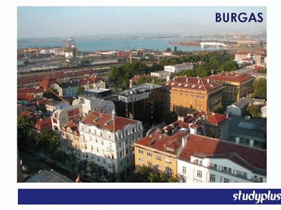 Studyplus Yurtdışı Eğitim