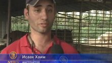 Иппотерапия восстанавливает здоровье