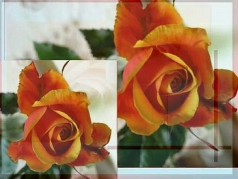 Mój filmik POZDROWIENIA KWIATAMI