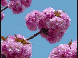 Citations révélatrices et moments de détente