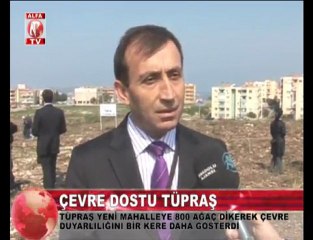 aliağa tüpraş'tan ağaç dikimi