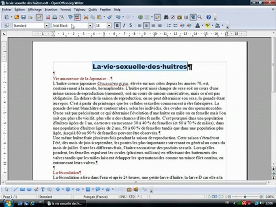 Traitement Texte 2.1 "Mise en forme de caractères"