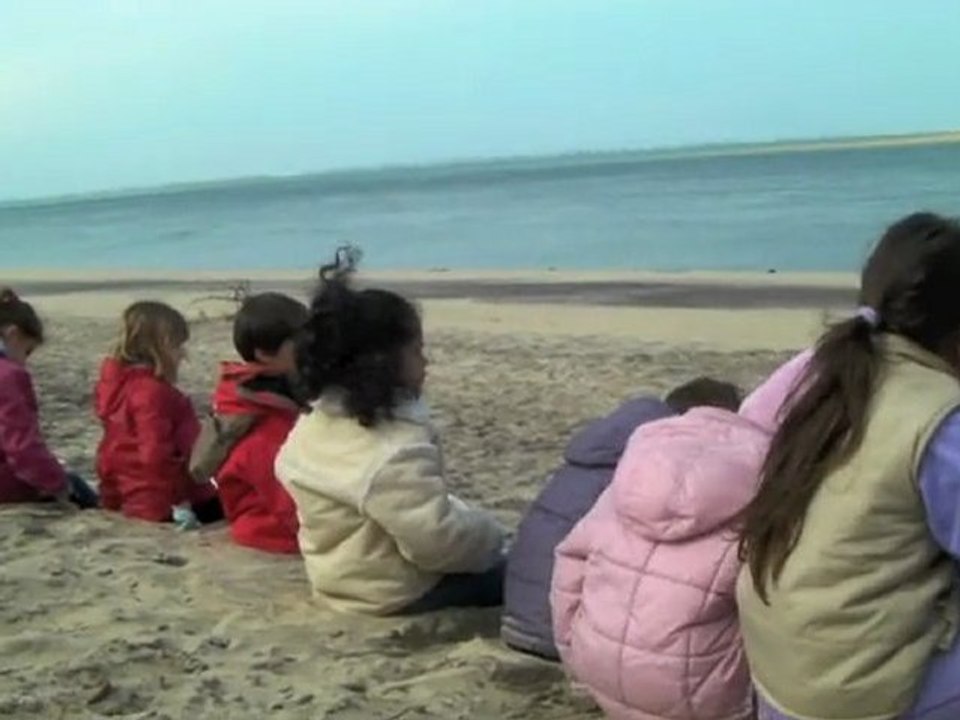 Les petites mains nettoient la plage