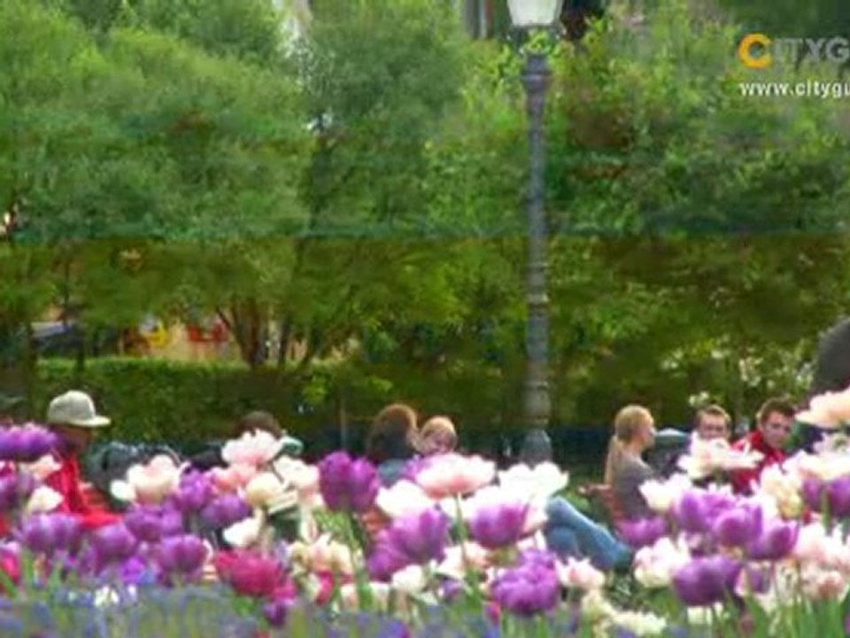 CITYteaser, Helsinki