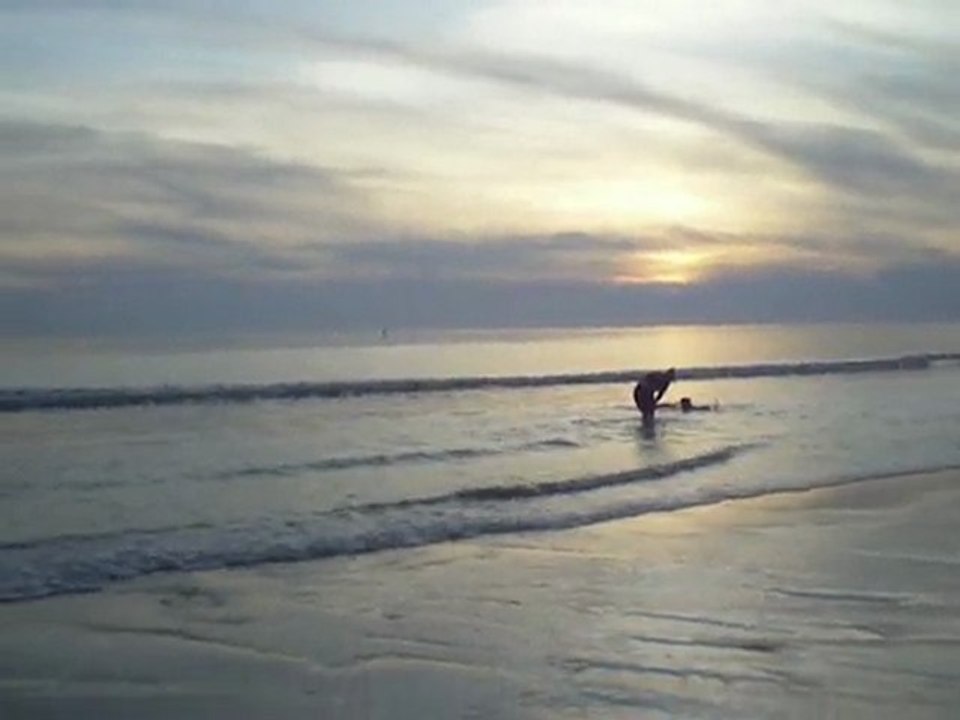 Brako et véron à la mer