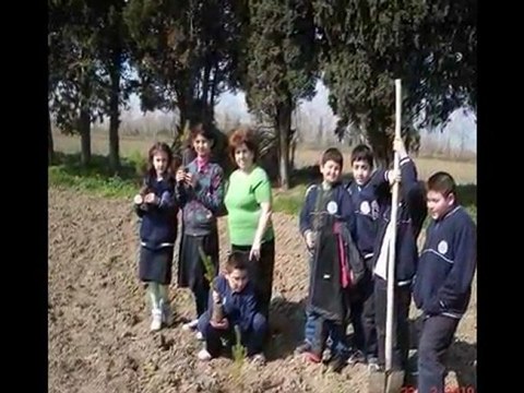 Bafra Merkez İlköğretim Okulu Orman Haftası 2010