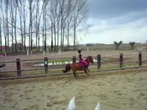 moi qui golope avek rex