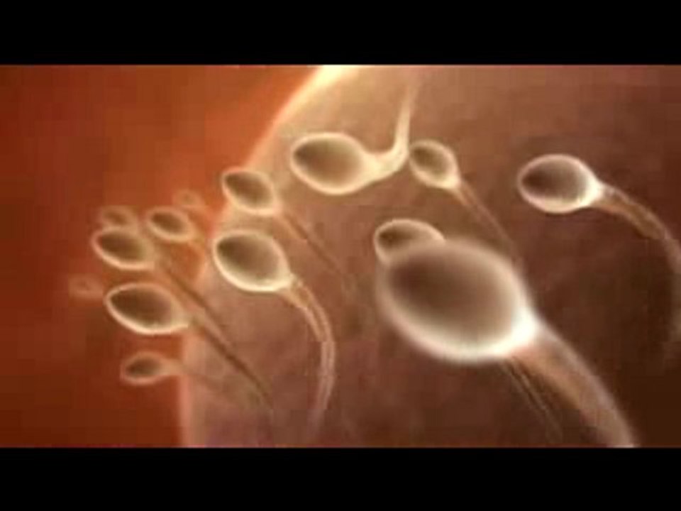 Getting Pregnant Naturally