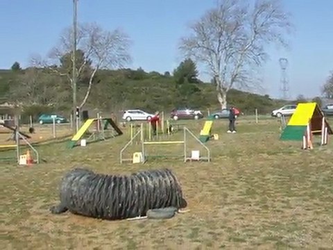 Dice, 1er degres, Montredon, 07-03-2010